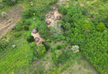 Rubicon Carbon to Supply Microsoft with Two Million Tonnes of Carbon Removal Credits from Kijani Forestry Project