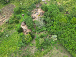 Rubicon Carbon to Supply Microsoft with Two Million Tonnes of Carbon Removal Credits from Kijani Forestry Project