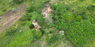 Rubicon Carbon to Supply Microsoft with Two Million Tonnes of Carbon Removal Credits from Kijani Forestry Project