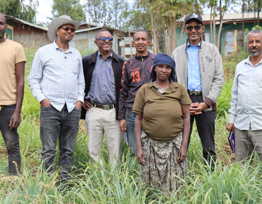 Researchers-Advance-Fodder-Innovation-with-Lyme-Grass 1