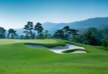 Natural solutions for superior turf management and horticulture