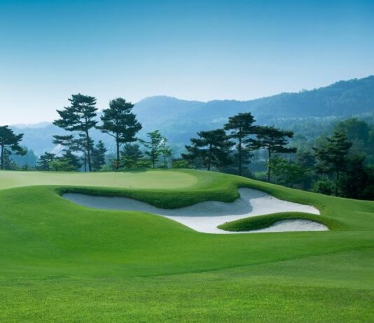 Natural solutions for superior turf management and horticulture