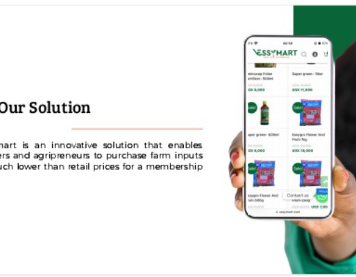 image-600×400 – 2026-01-16T113008.545