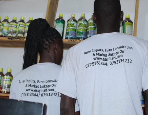 image-600×400 – 2026-01-16T113045.877