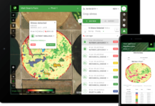 Tanzanian AI app helping farmers spot crop diseases early