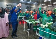 Kenya moves to end VAT refund delays, boost agricultural exports