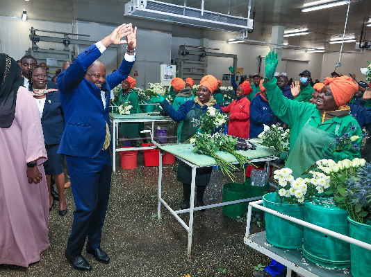 Kenya moves to end VAT refund delays, boost agricultural exports