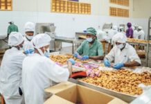 Investing in small scale farmers and rural entrepreneurs is a compelling business case