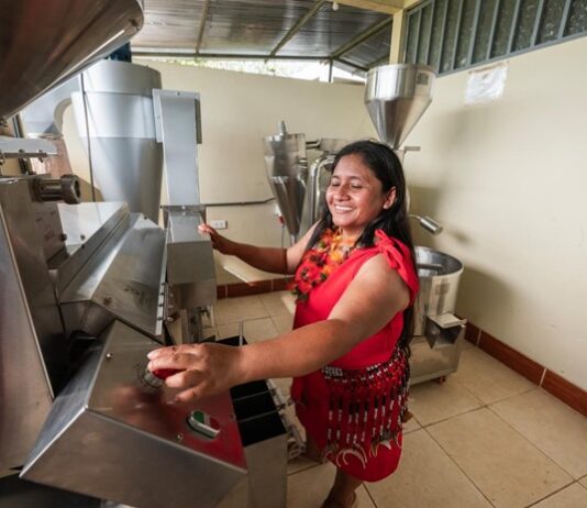 Pope Leo XIV meets IFAD President: shared commitment to food security and rural development