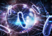 Green Chemistry: Friendly Bacteria Can Unlock Hidden Metabolic Pathways in Plant Cell Cultures