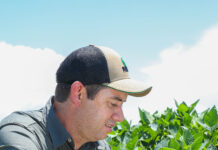 Lukas Meyer takes the reins at Pannar Seed: future prospects