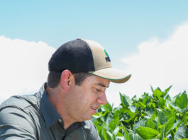 Lukas Meyer takes the reins at Pannar Seed: future prospects