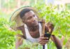 Harnessing Digital Agriculture’s Potential in Africa