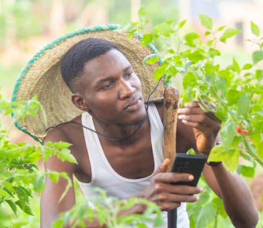 Harnessing Digital Agriculture’s Potential in Africa
