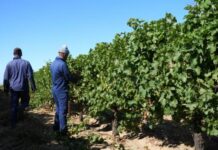 Private sector partnerships can drive land reform funding through targeted CSI initiatives