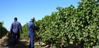 Private sector partnerships can drive land reform funding through targeted CSI initiatives