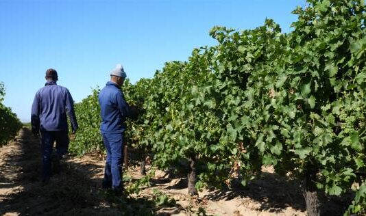 Private sector partnerships can drive land reform funding through targeted CSI initiatives