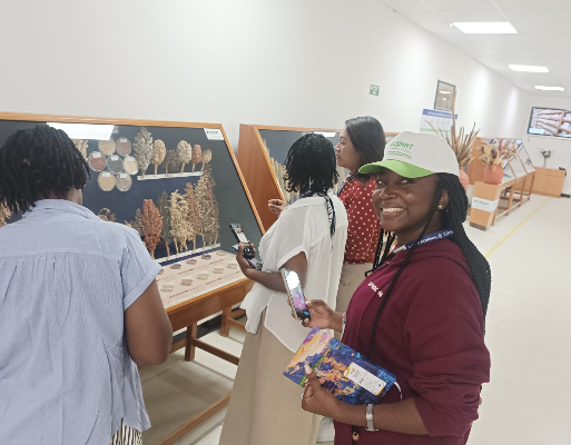 Global South youth and women training in India