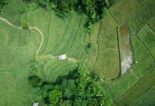 Harnessing Precision Farming Technologies for Modern Agricultural Practices