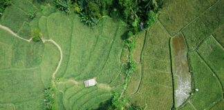 Harnessing Precision Farming Technologies for Modern Agricultural Practices