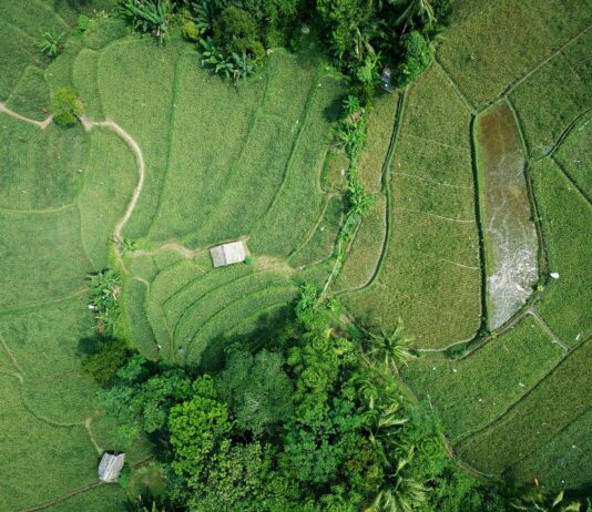 Harnessing Precision Farming Technologies for Modern Agricultural Practices