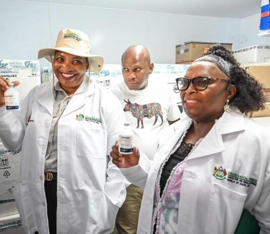 KwaZulu-Natal MEC warns against illicit animal movement as FMD outbreak spreads