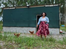 Climate resilience gets a boost in KZN’s iSimangaliso thanks to women-led businesses