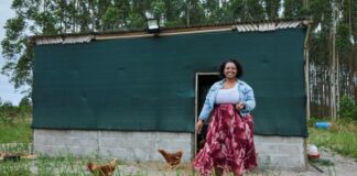 Climate resilience gets a boost in KZN’s iSimangaliso thanks to women-led businesses