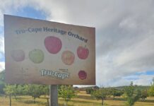 Public invited to tour Tru-Cape’s Heritage Orchard of historic apples and pears