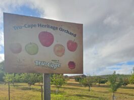 Public invited to tour Tru-Cape’s Heritage Orchard of historic apples and pears