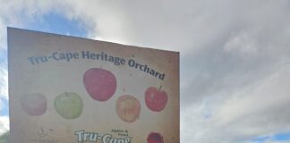 Public invited to tour Tru-Cape’s Heritage Orchard of historic apples and pears