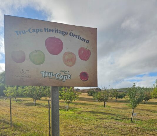 Public invited to tour Tru-Cape’s Heritage Orchard of historic apples and pears