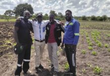 A Big Thank You to Zimbabwe’s Agricultural Business Advisory Officers