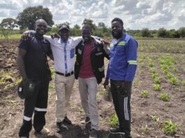 A Big Thank You to Zimbabwe’s Agricultural Business Advisory Officers