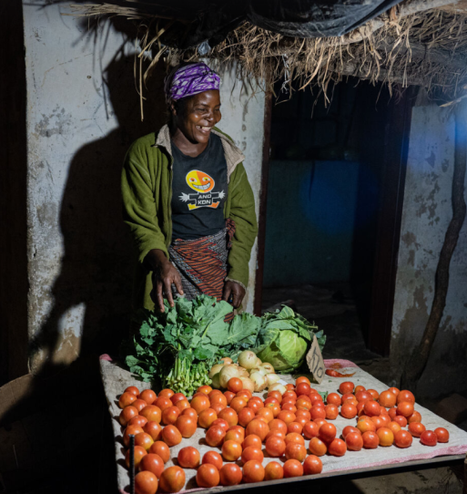 a941b1a536474b74c48c932ca505ad69