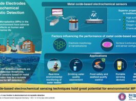 Researchers advance real-time microplastic detection to protect aquatic ecosystems