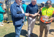 Western Cape Government rolls out livestock vaccination drive to protect animals from FMD crisis
