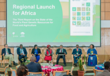 Africa’s disappearing plant diversity threatens food security and climate resilience – FAO report