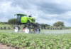 Tanzania deploys modern sprayers to transform cotton farming in the country
