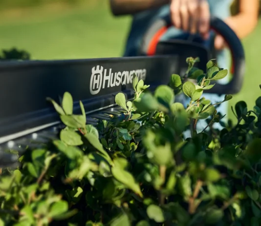 Essential Guide to Battery Garden Tools for Small Gardens