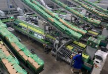 Ceres Fruit Growers named BRCGS Certifcated Site of the Year 2026