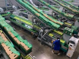 Zimbabwe accounts for 8% of South Africa’s agricultural exports