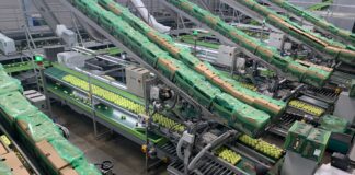 Ceres Fruit Growers named BRCGS Certifcated Site of the Year 2026