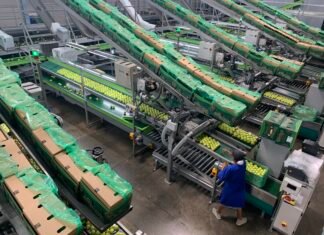 Zimbabwe accounts for 8% of South Africa’s agricultural exports