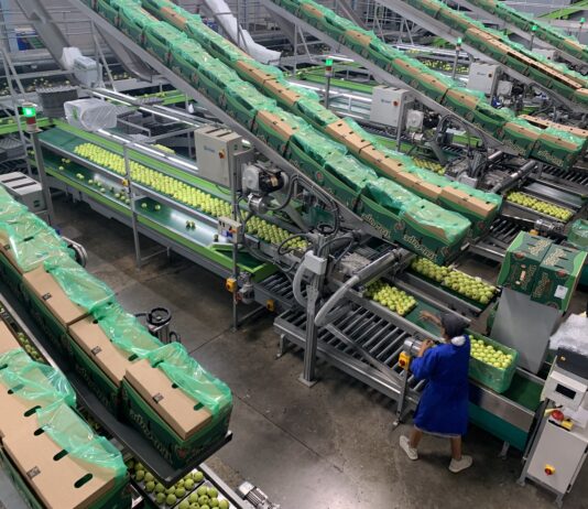 Ceres Fruit Growers named BRCGS Certifcated Site of the Year 2026