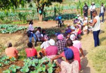 GESI Dialogues explore why Gender Equality and Social Inclusion are essential for Southern Africa’s continued existence