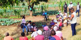 GESI Dialogues explore why Gender Equality and Social Inclusion are essential for Southern Africa’s continued existence