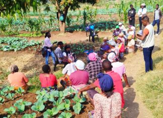 GESI Dialogues explore why Gender Equality and Social Inclusion are essential for Southern Africa’s continued existence