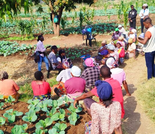 GESI Dialogues explore why Gender Equality and Social Inclusion are essential for Southern Africa’s continued existence