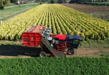 Technological Evolution in the VFC Tobacco Sector: Towards Integral and Conscious Mechanization